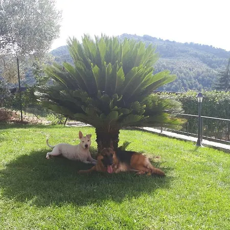 Bed & Breakfast Casa Kara Dolceacqua